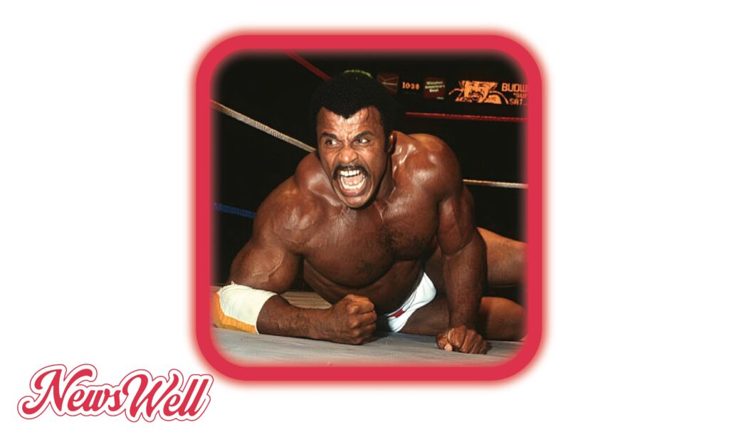 Who is Lillian Bowles? The Story of Rocky Johnson's Mom